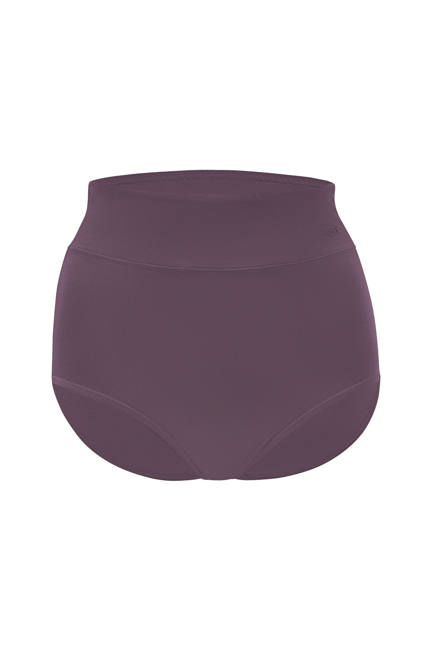 Women's High-Waisted Brief in Currant