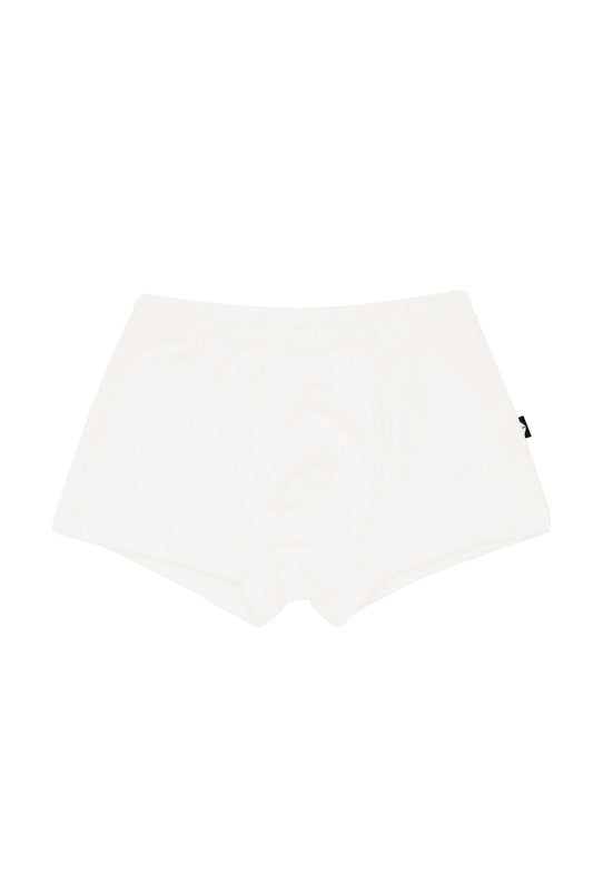 Briefs in Cloud