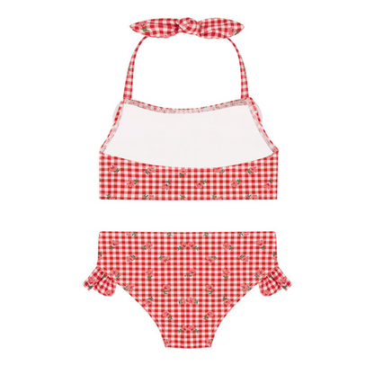 girls cranberry gingham halter scoop neck bikini