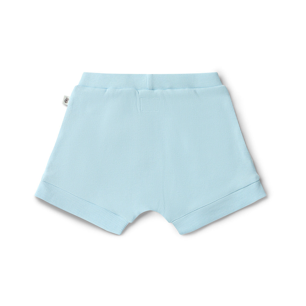 Baby Blue Organic Shorts