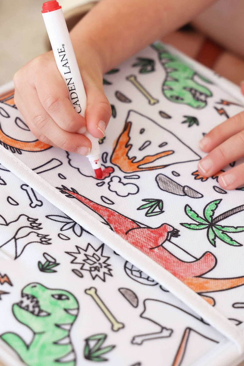 Kids Colorable Lunchbox | Jurassic Playground