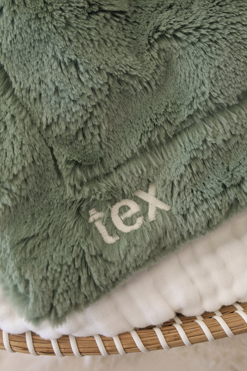 Cuddle Plush Friends Lovey | Tex T-Rex