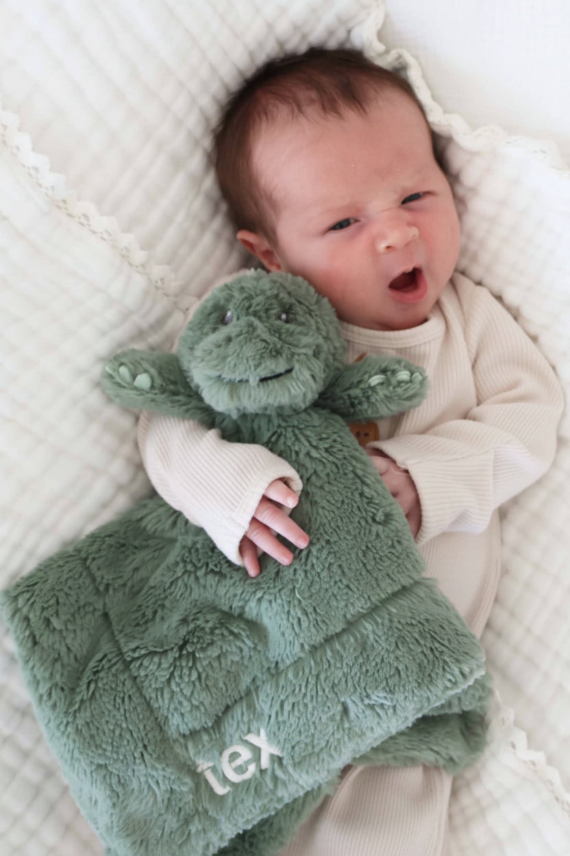 Cuddle Plush Friends Lovey | Tex T-Rex