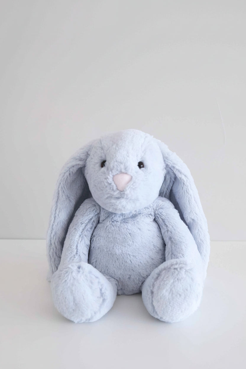 Large Cuddle Plush Friends | Honey Bunny