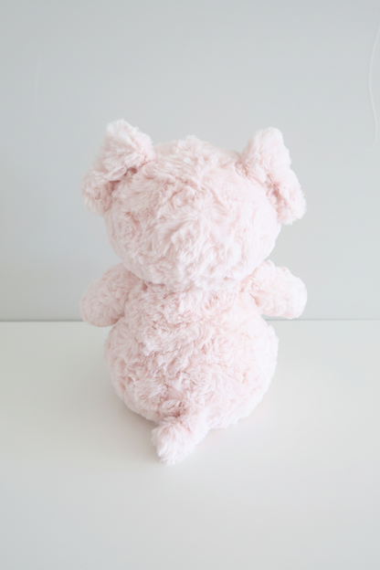 Large Cuddle Plush Friends
