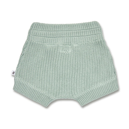 Sage Organic Cotton Knit Shorts